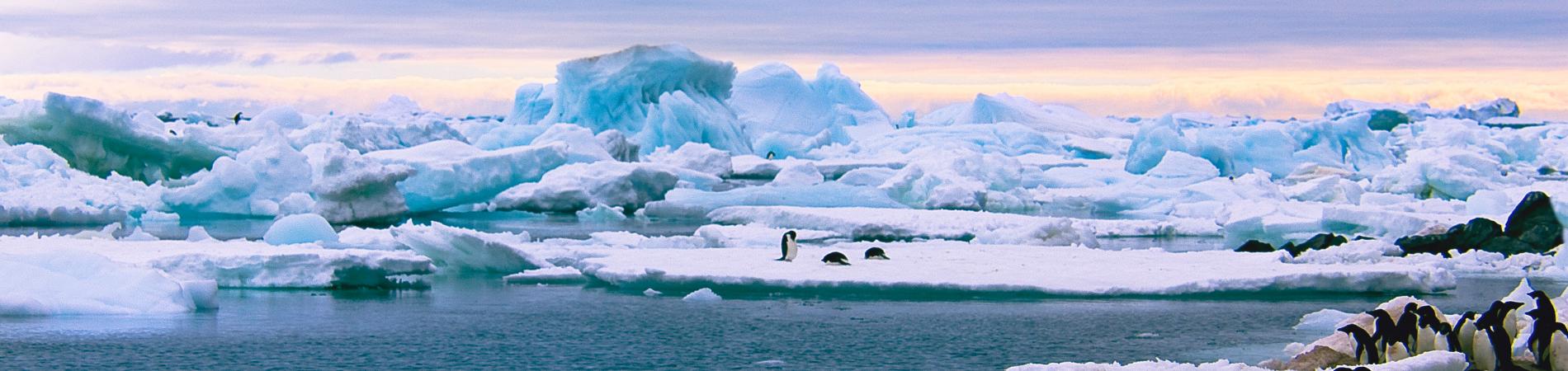 Image for Unusual holiday destinations: Antarctica and the Arctic
