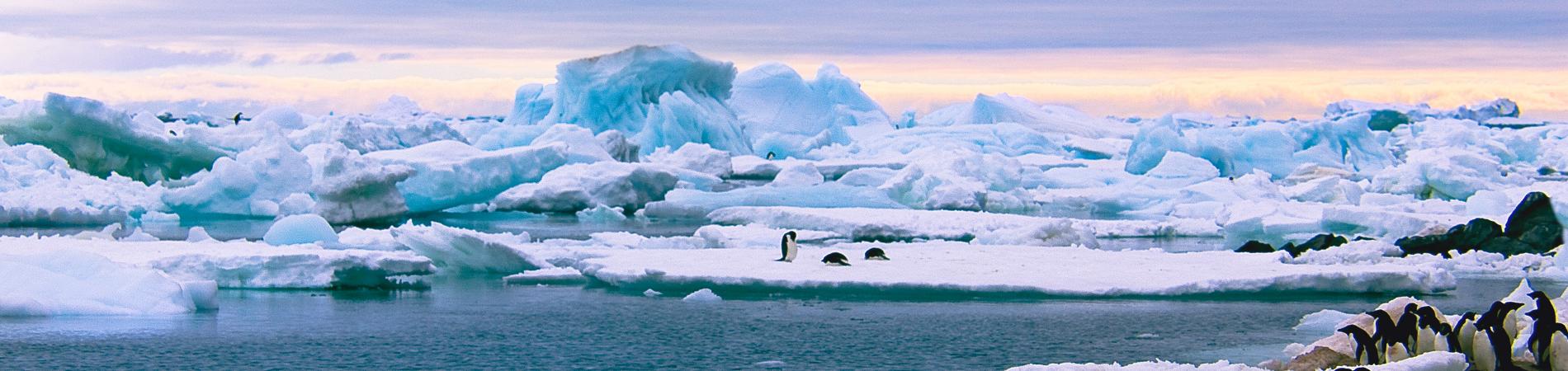 Image for Things to do in Antarctica