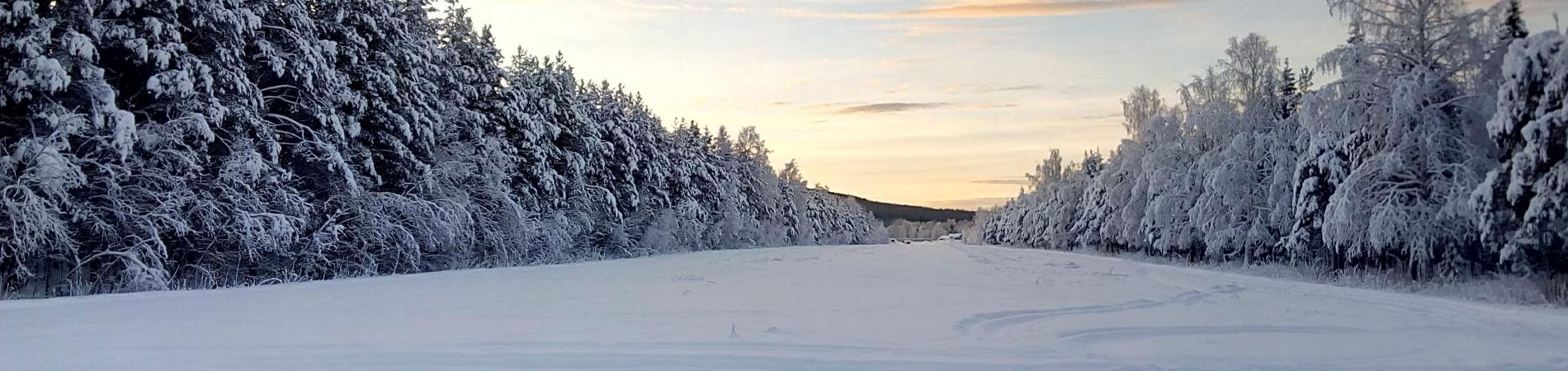 Image for Reasons to visit Finnish Lapland