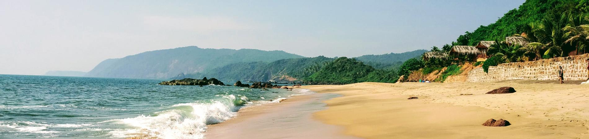 Image for Reasons to visit Goa in summer