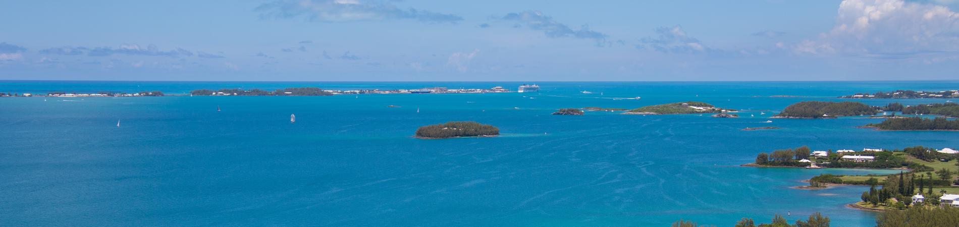 Image for Guide to the Bermuda Botanical Gardens