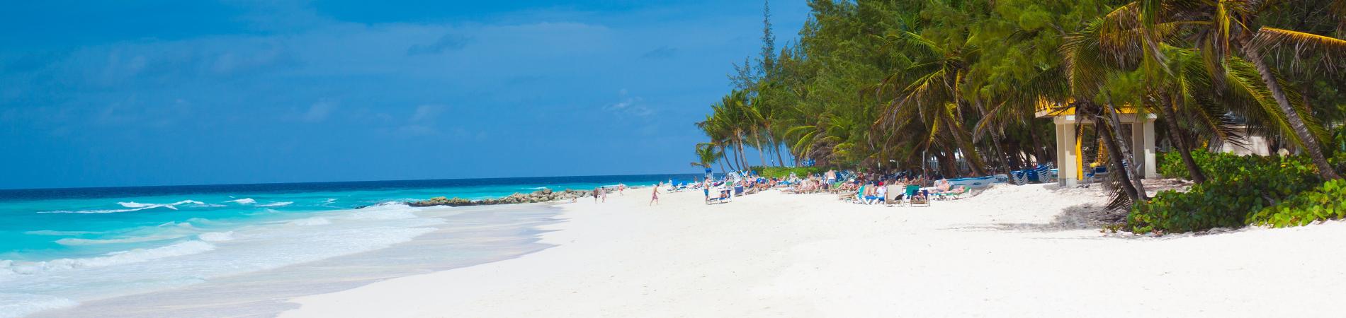 Image for The best beaches in Barbados