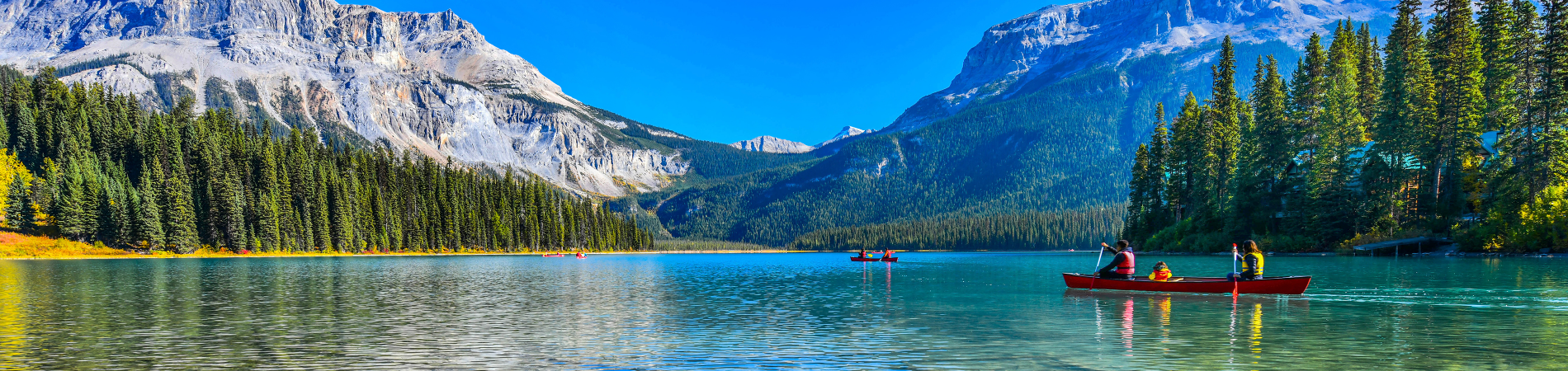 Image for Discover the Joy of Touring Holidays