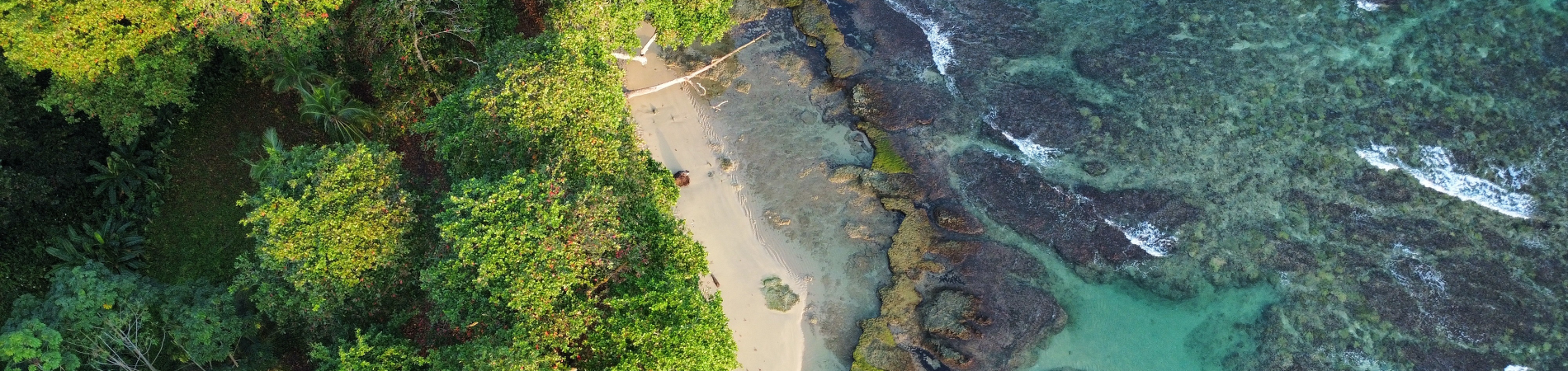 Image for Why You Should Visit Costa Rica: A Tropical Paradise