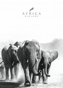 Cover of Africa and Beyond